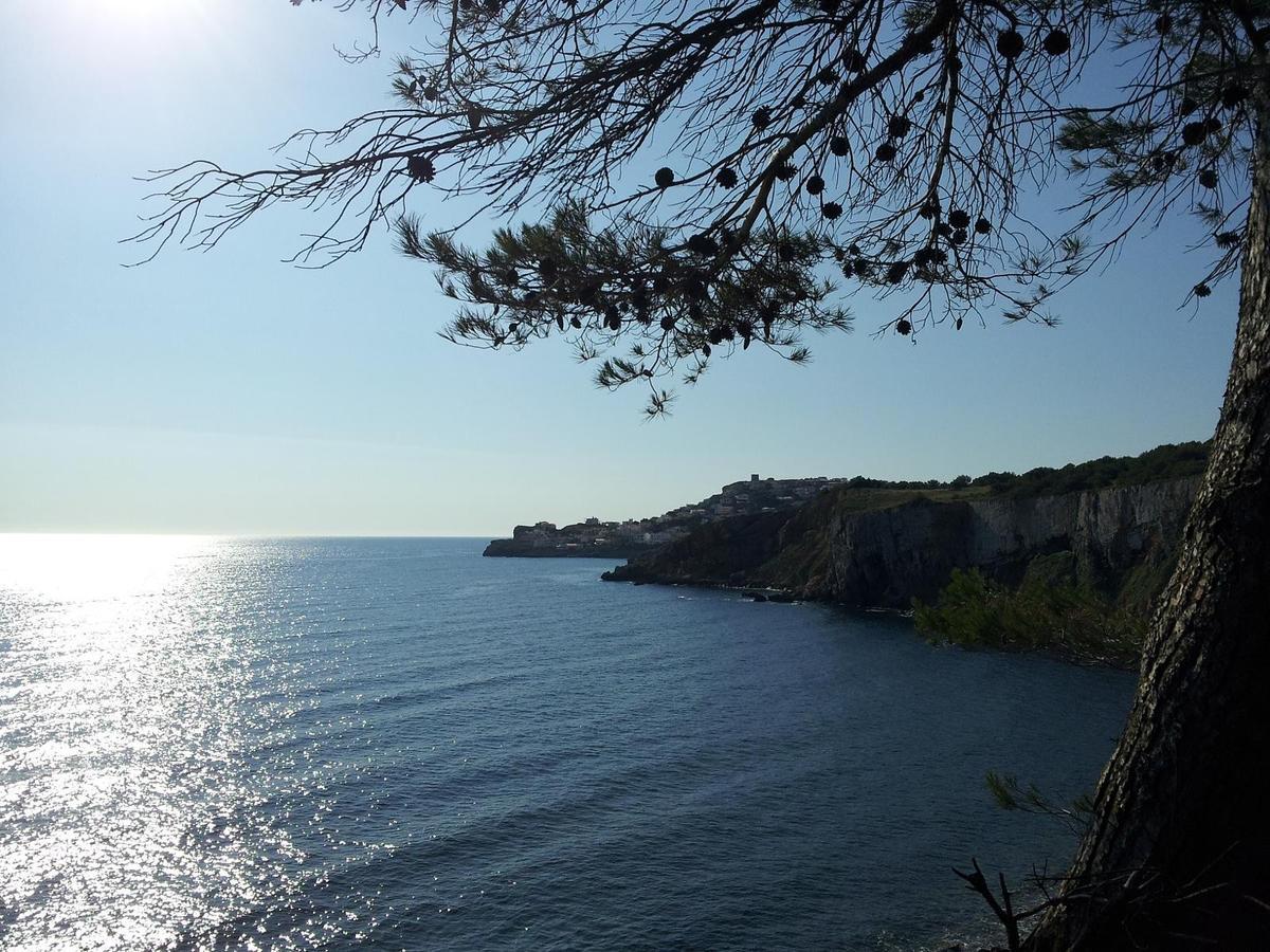 דירות L' Escala Riells De Mar A6 מראה חיצוני תמונה
